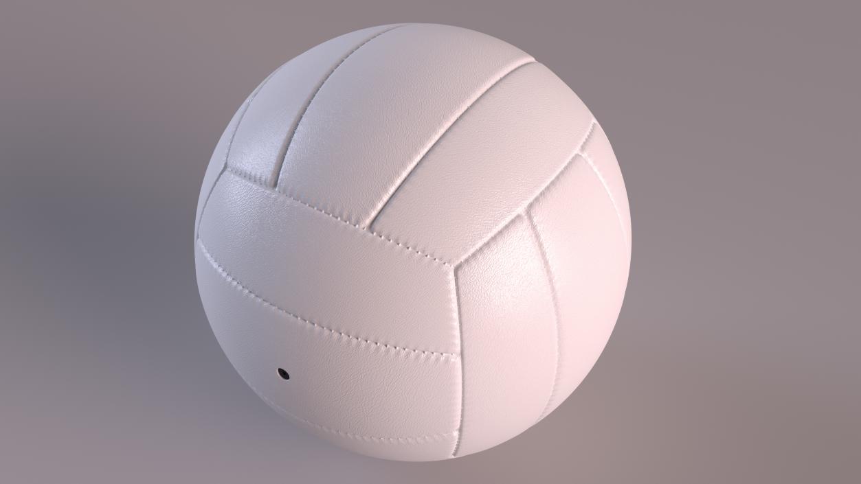 Leather Volleyball Ball White 3D model