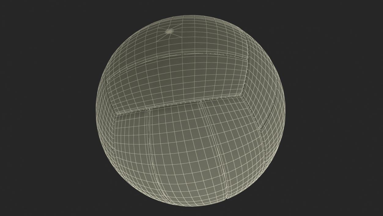 Leather Volleyball Ball White 3D model