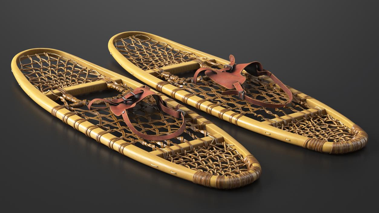 3D Traditional Snowshoes Folded model