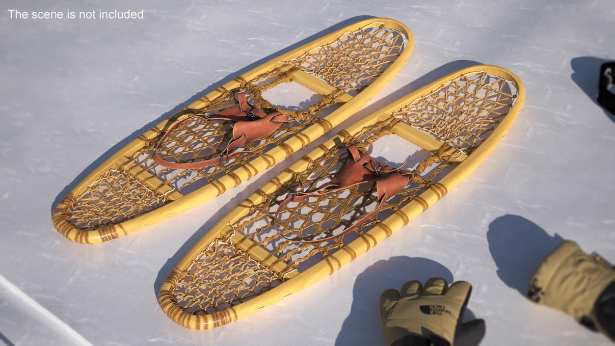 3D Traditional Snowshoes Folded model