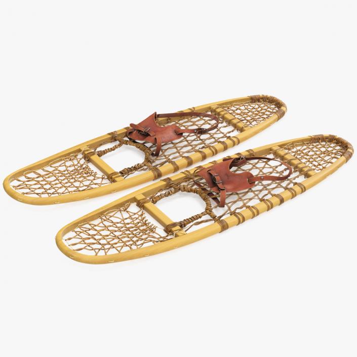 3D Traditional Snowshoes Folded model