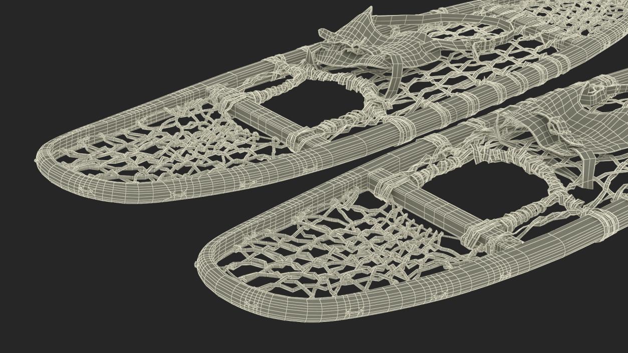 3D Traditional Snowshoes Folded model