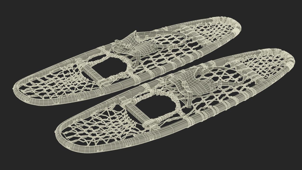 3D Traditional Snowshoes Folded model