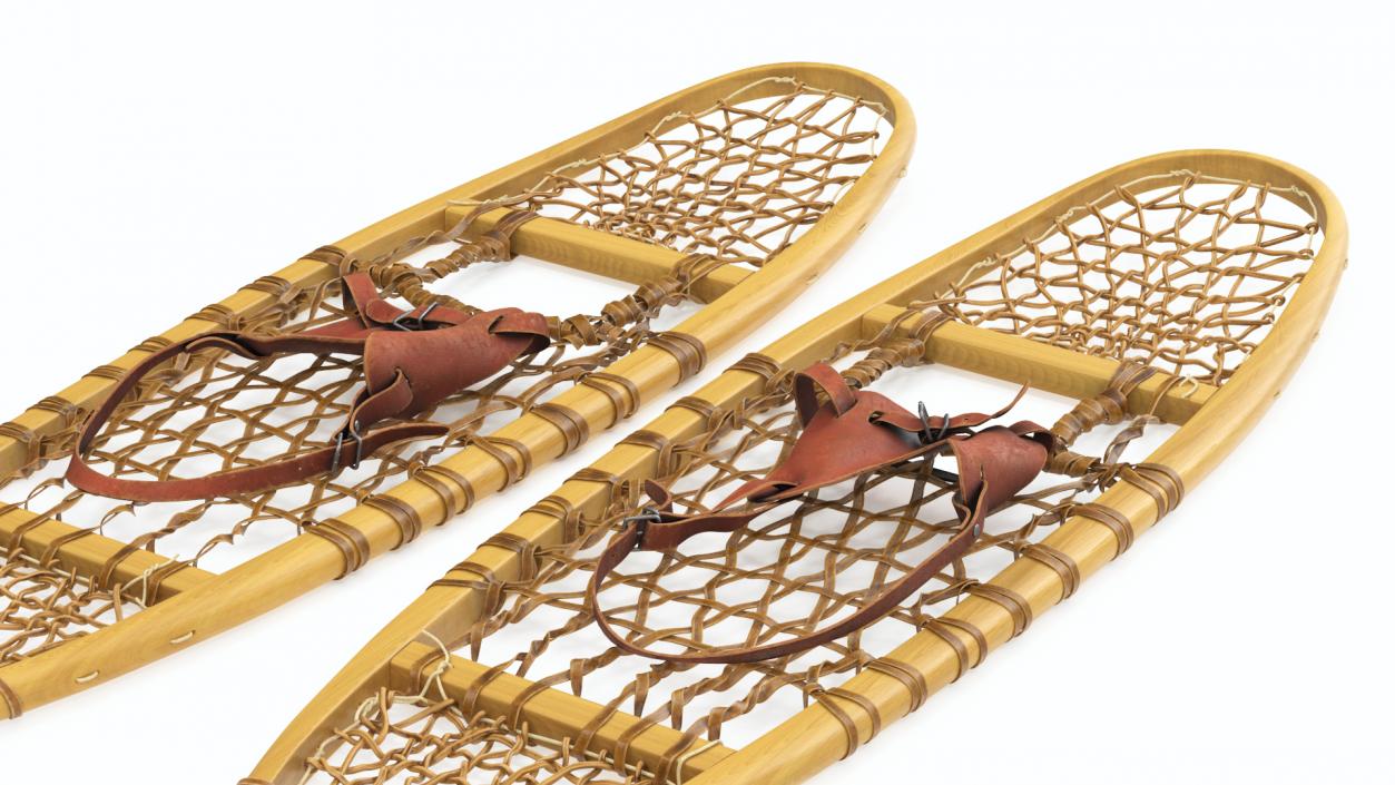 3D Traditional Snowshoes Folded model