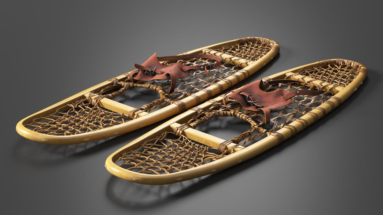 3D Traditional Snowshoes Folded model