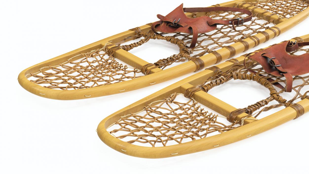 3D Traditional Snowshoes Folded model