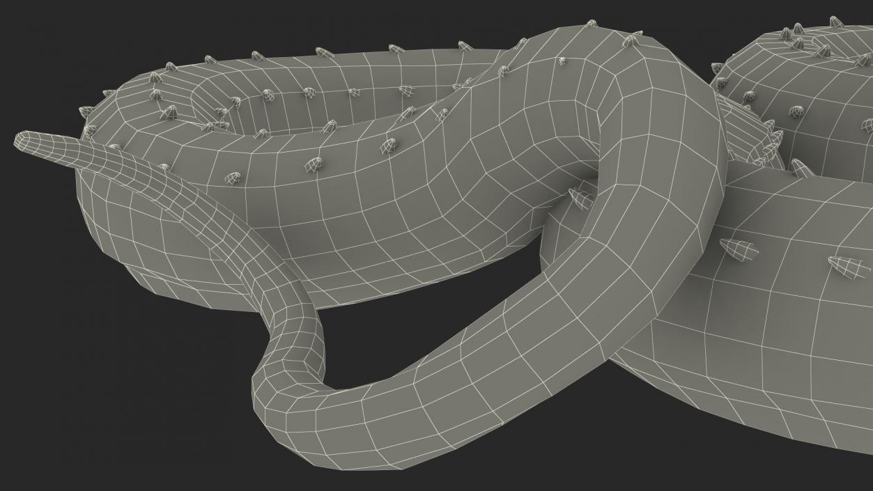 3D Aggressive Serpentine Dragon model