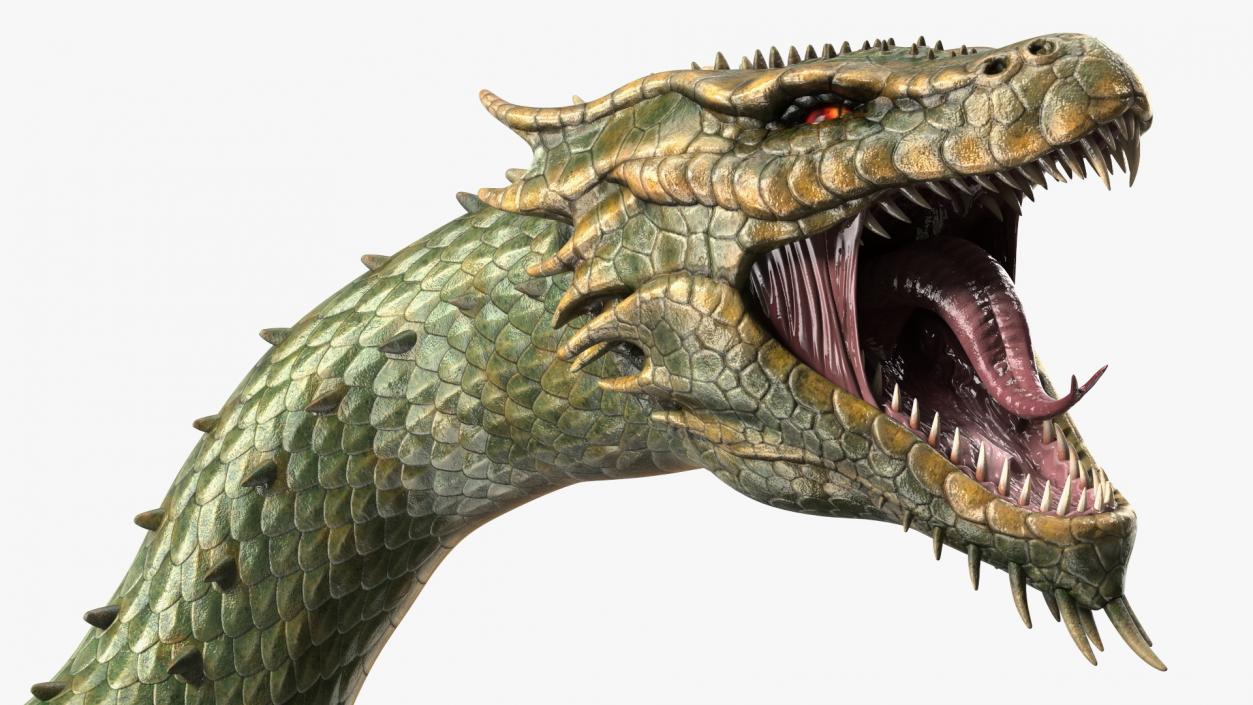 3D Aggressive Serpentine Dragon model