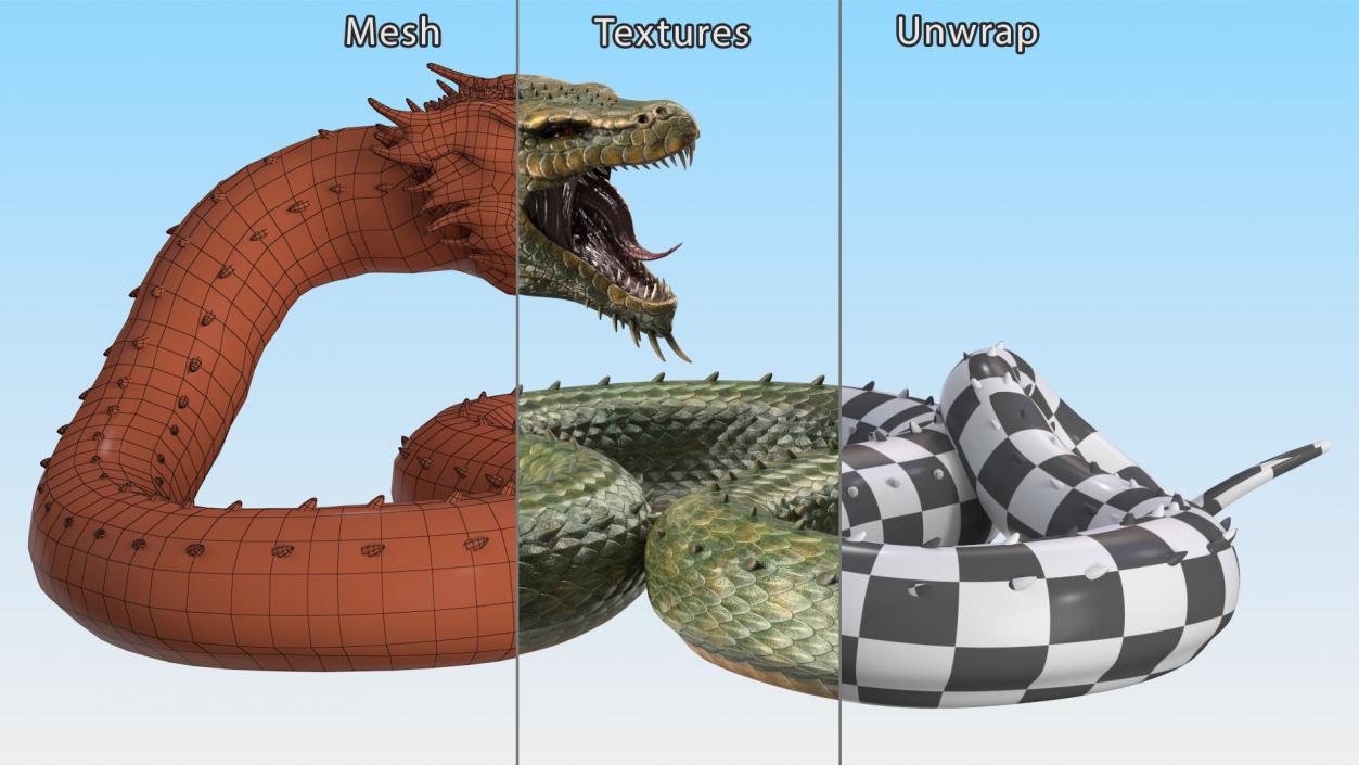 3D Aggressive Serpentine Dragon model