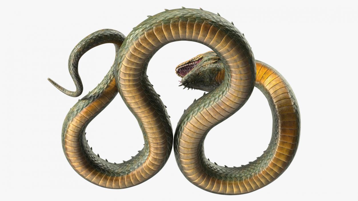 3D Aggressive Serpentine Dragon model