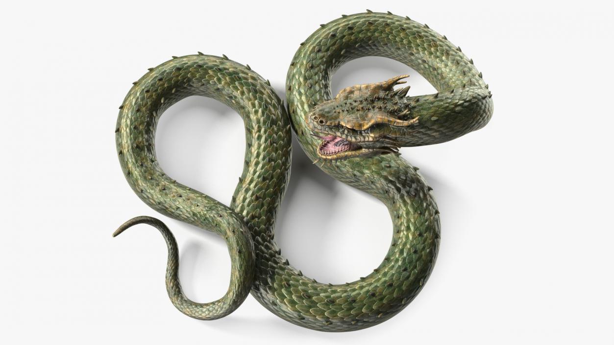 3D Aggressive Serpentine Dragon model