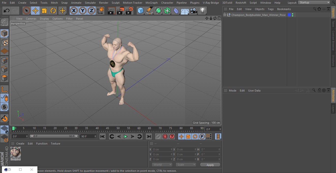 3D Champion Bodybuilder Man Winner Pose