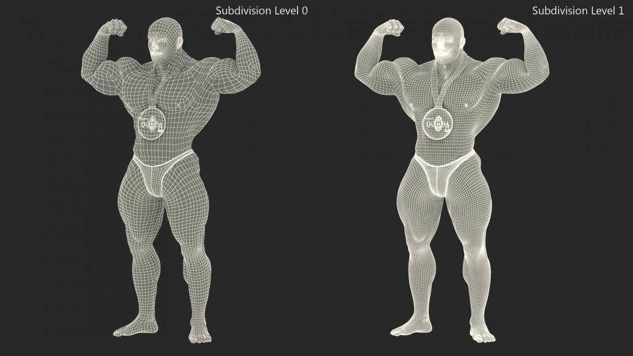 3D Champion Bodybuilder Man Winner Pose