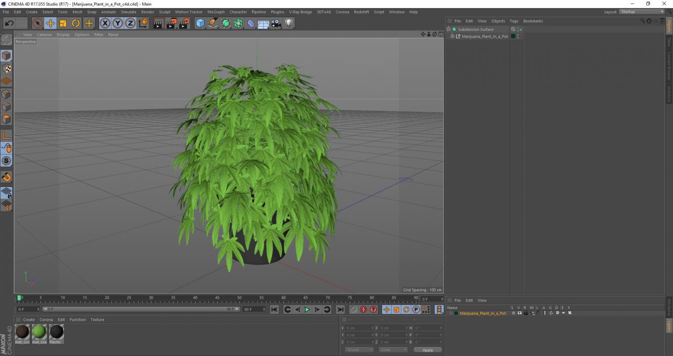 Marijuana Plant in a Pot 3D model