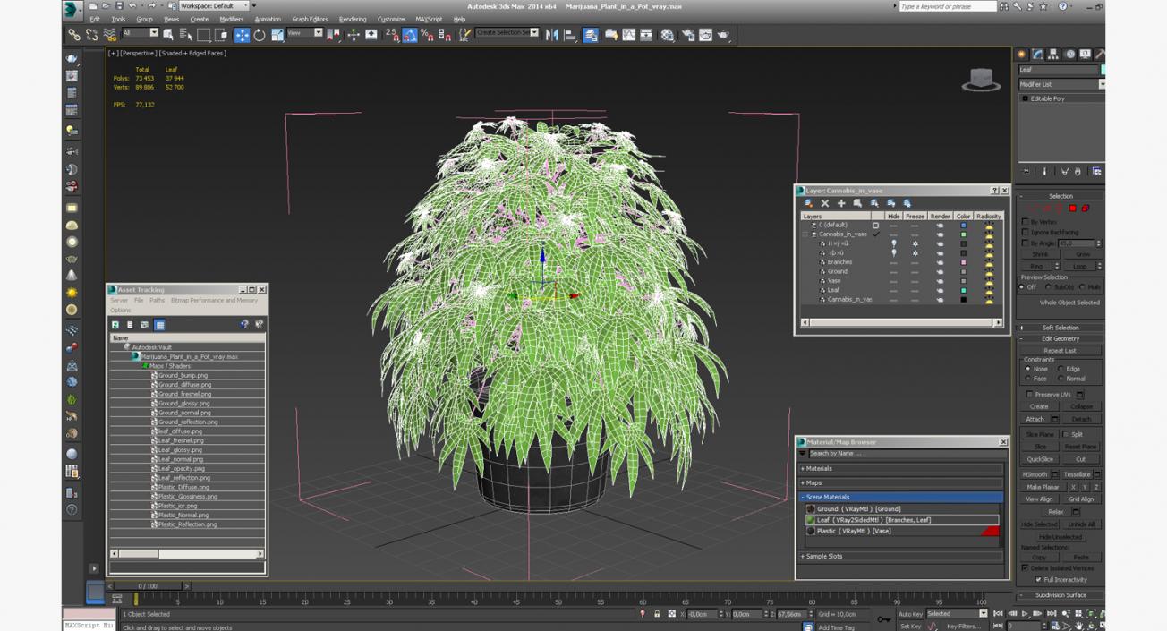 Marijuana Plant in a Pot 3D model