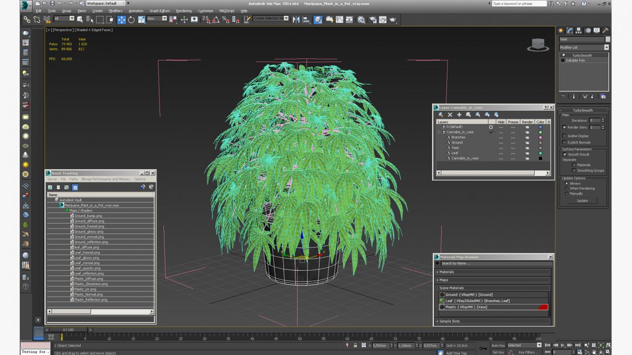 Marijuana Plant in a Pot 3D model