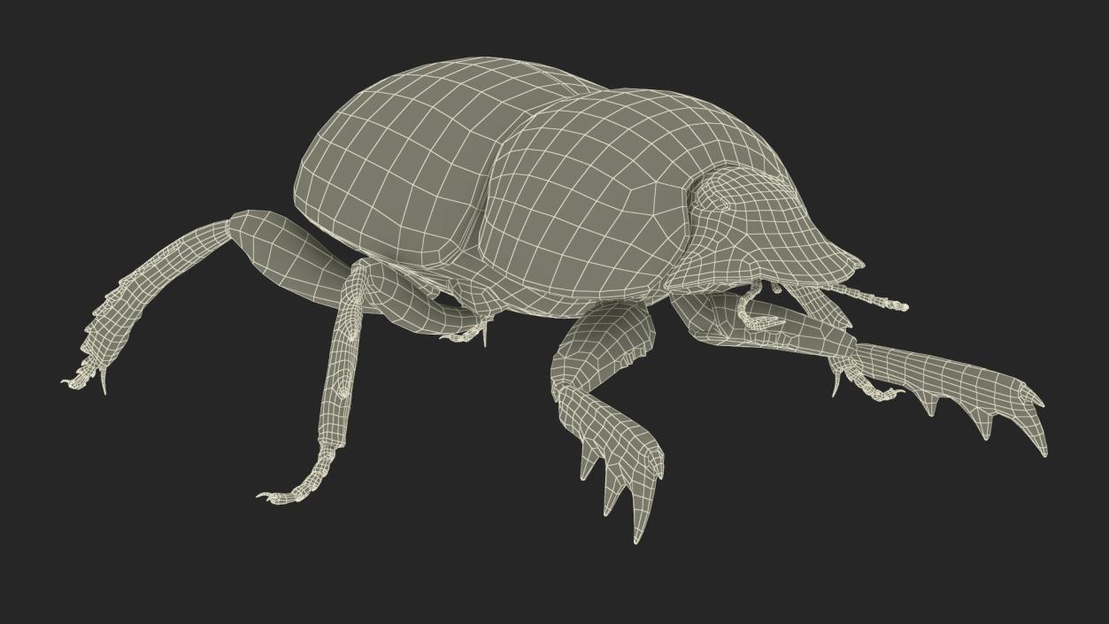 3D Scarabs Rigged Fur model