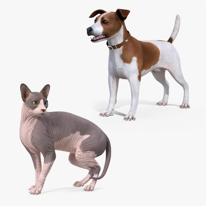 3D model Pets Collection