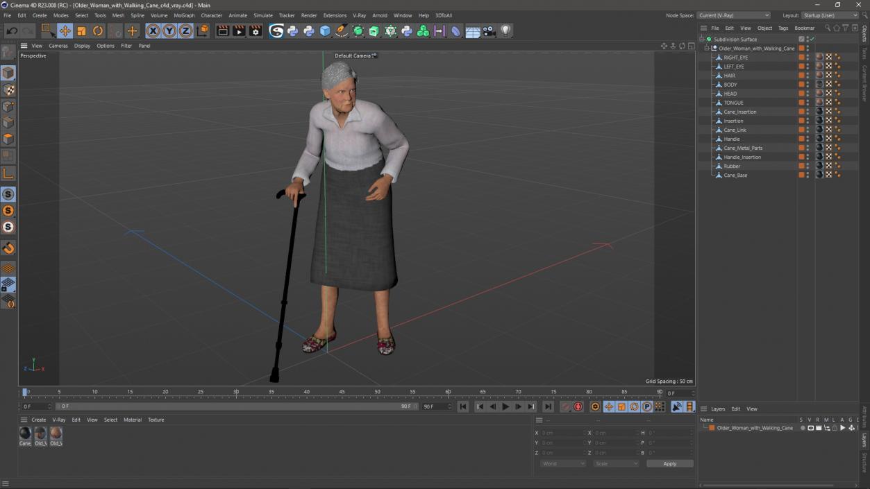 Older Woman with Walking Cane 3D model