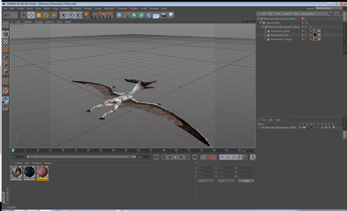 3D Pterosaur Pteranodon White