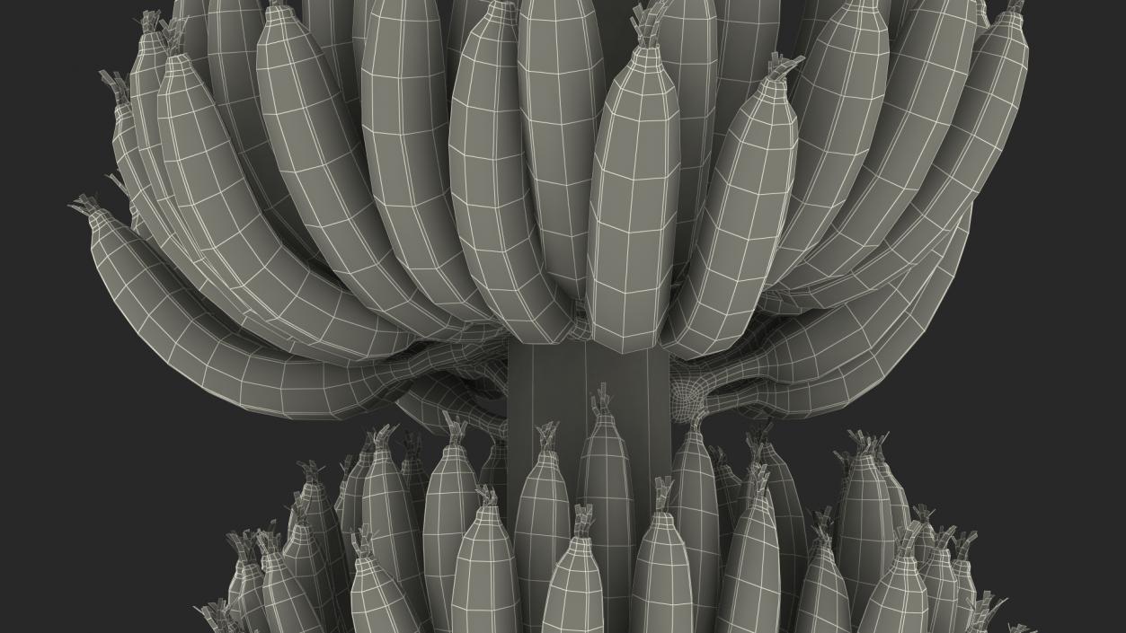 Banana Tree with Green Banana Cluster 3D