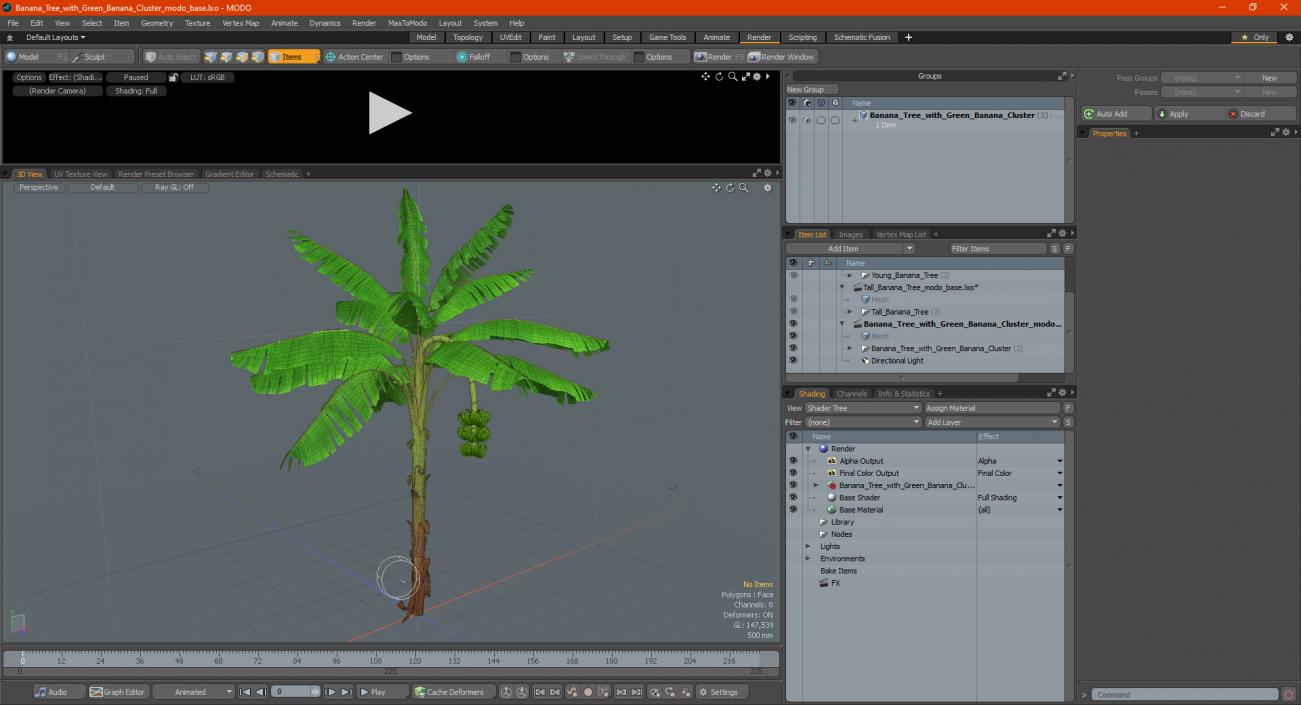 Banana Tree with Green Banana Cluster 3D