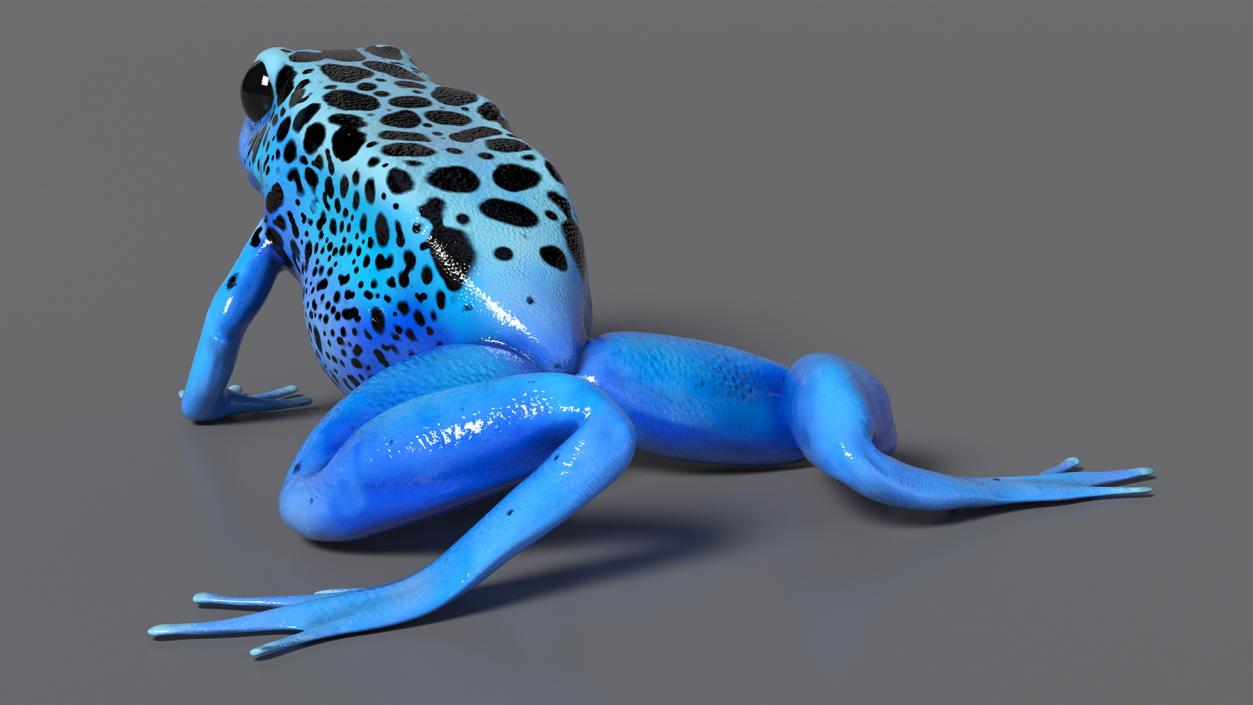 3D model Poison Dart Frog Blue Crawling Pose