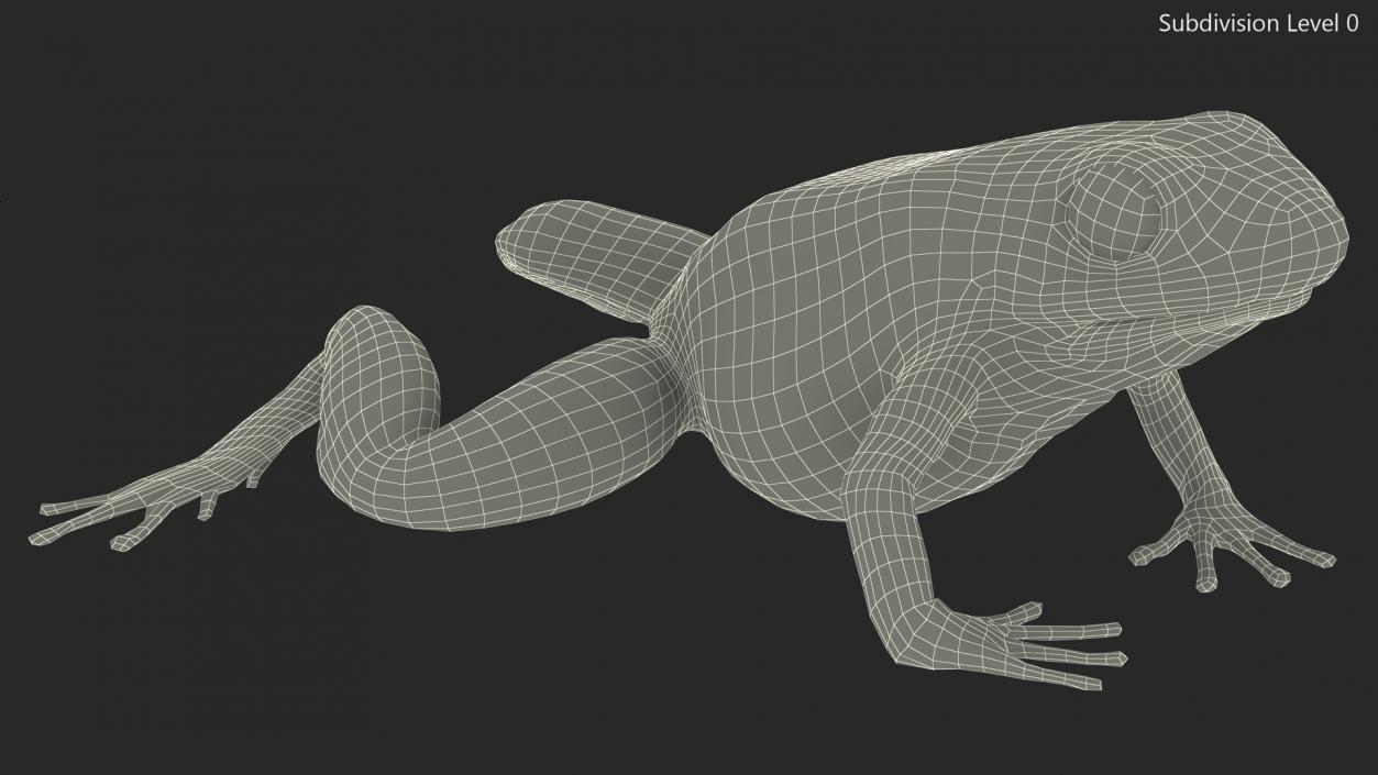 3D model Poison Dart Frog Blue Crawling Pose