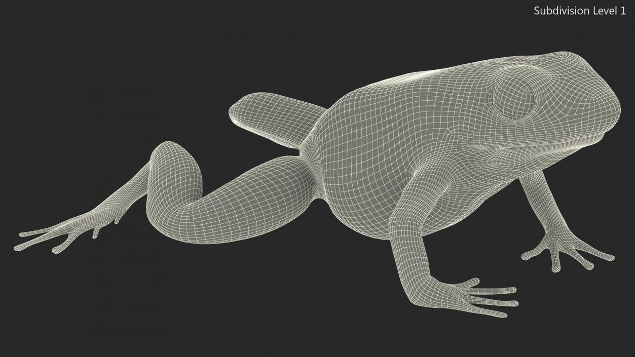 3D model Poison Dart Frog Blue Crawling Pose