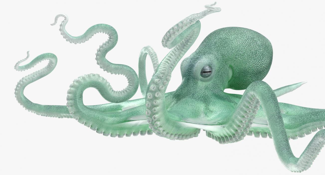 3D Large Blue Octopus model