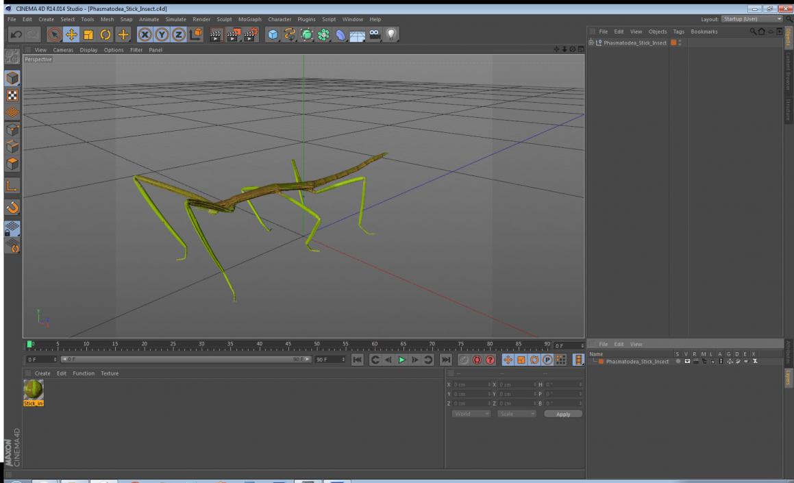 Phasmatodea Stick Insect 3D model