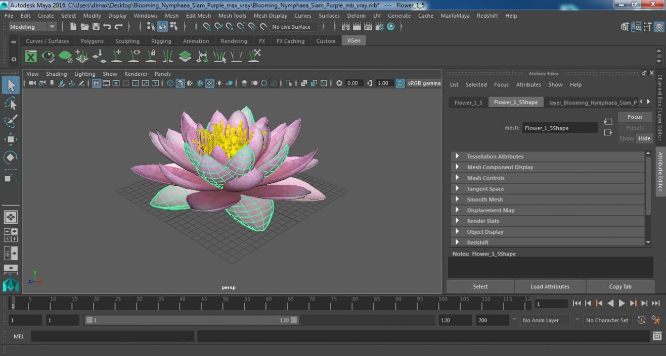 Blooming Nymphaea Siam Purple 3D model