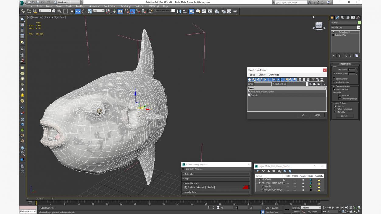 3D Mola Mola Ocean Sunfish model