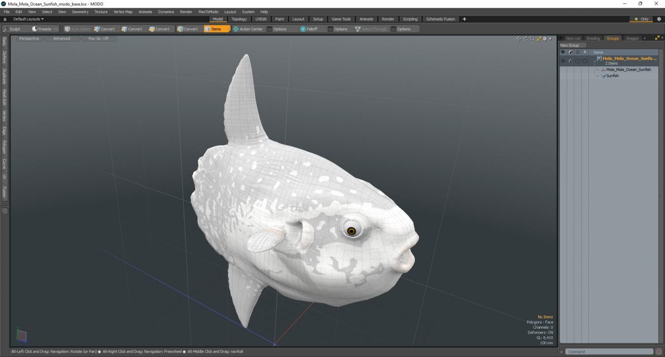 3D Mola Mola Ocean Sunfish model