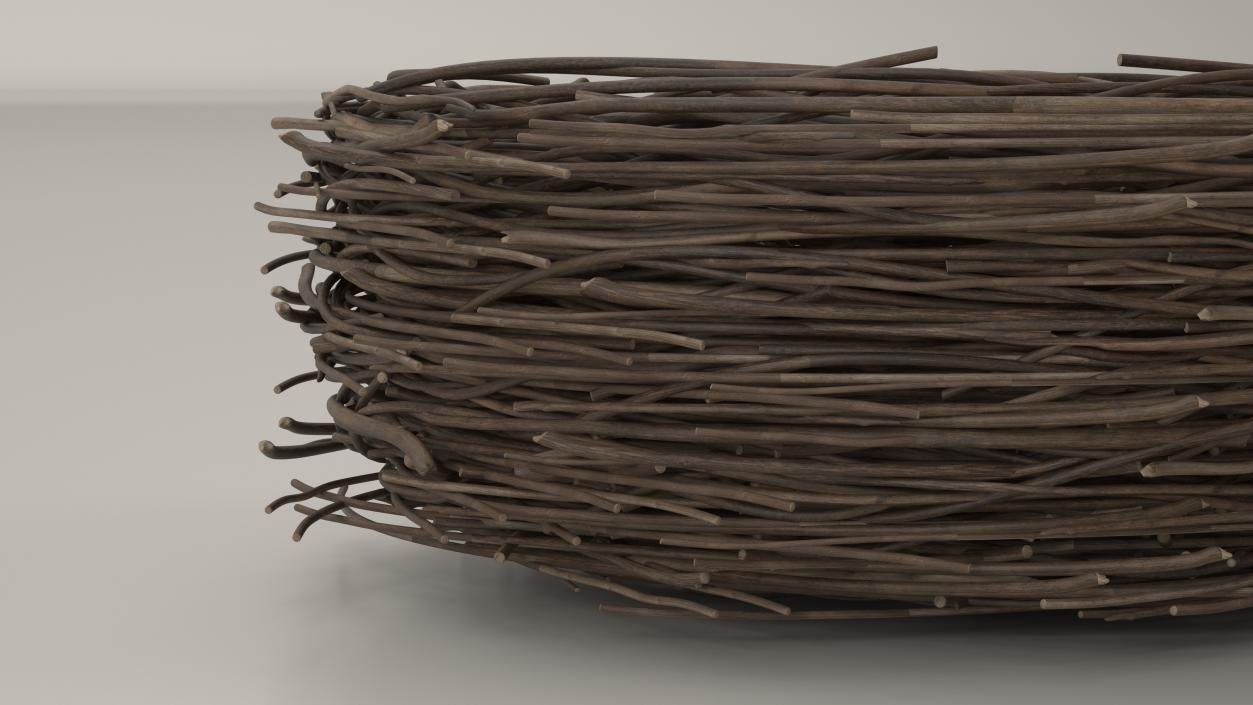 Bird Nest 3D model