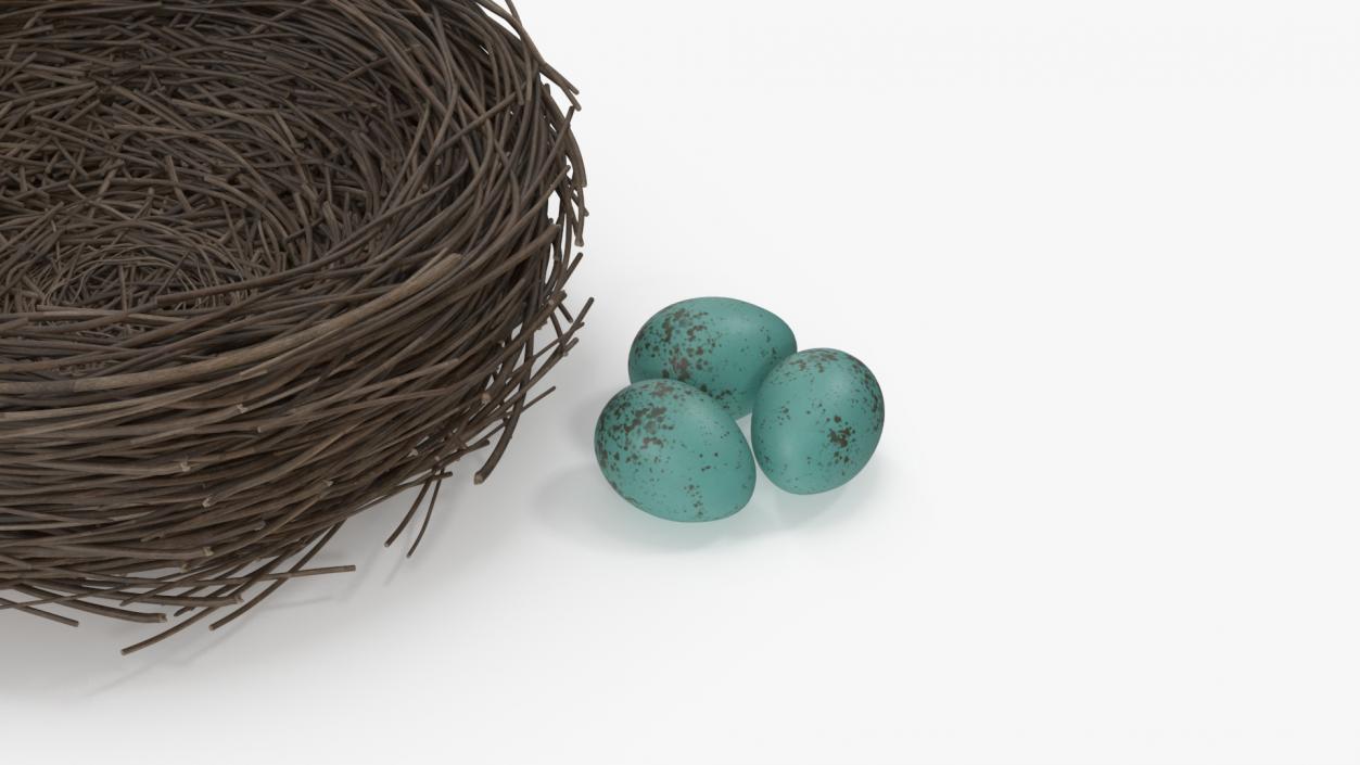 Bird Nest 3D model