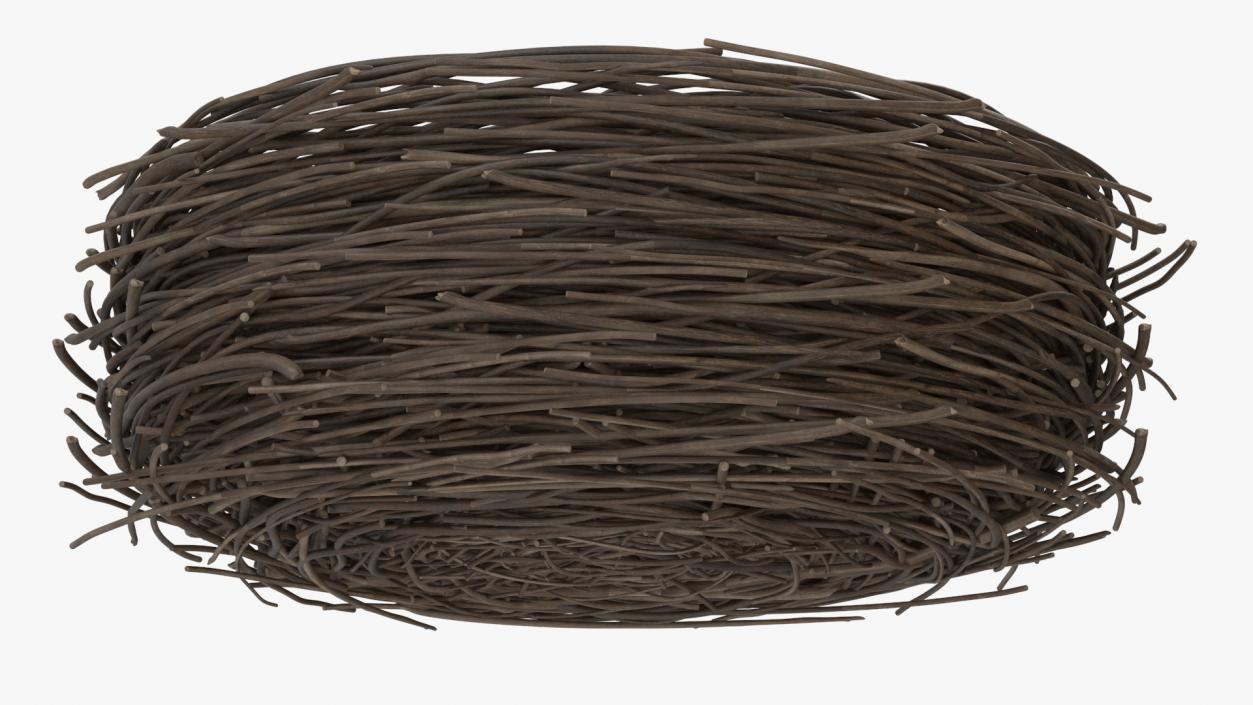 Bird Nest 3D model