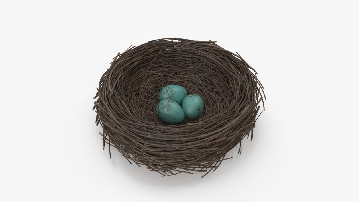 Bird Nest 3D model