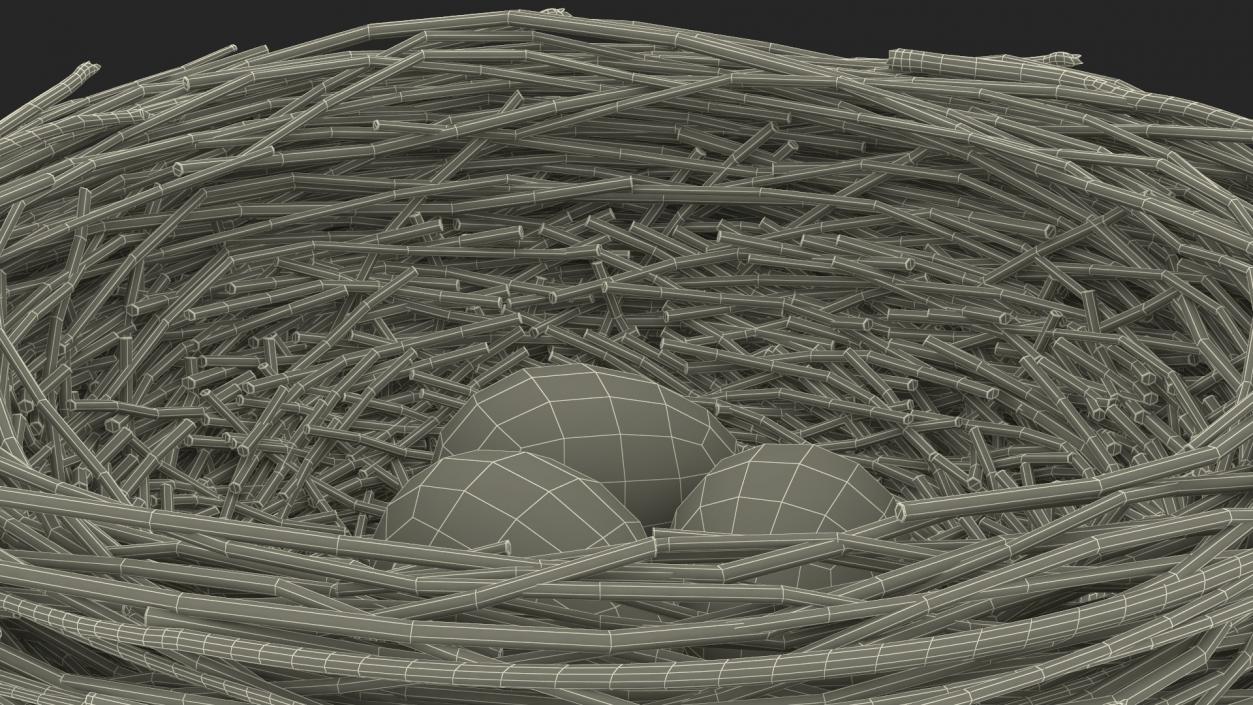 Bird Nest 3D model