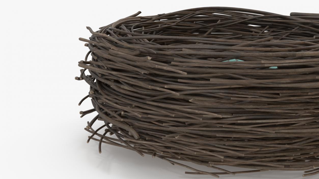 Bird Nest 3D model