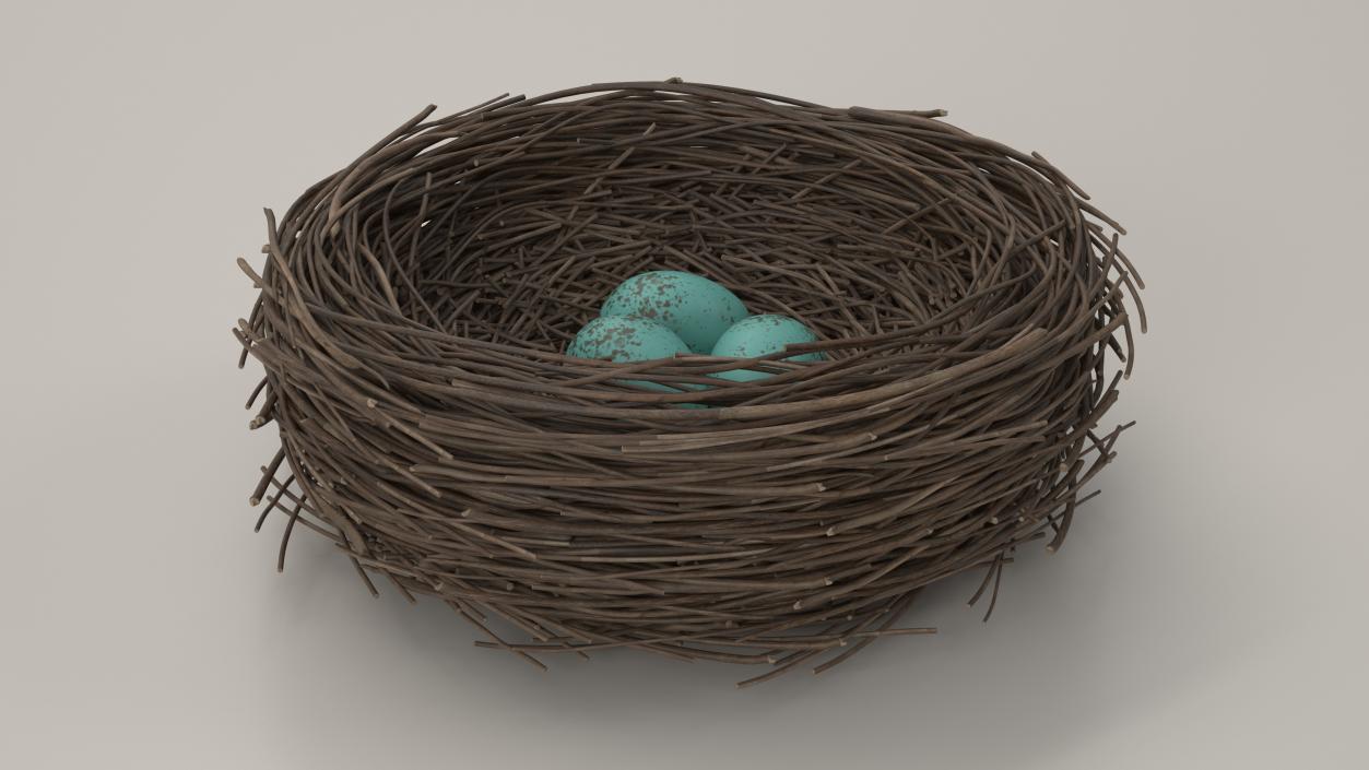 Bird Nest 3D model