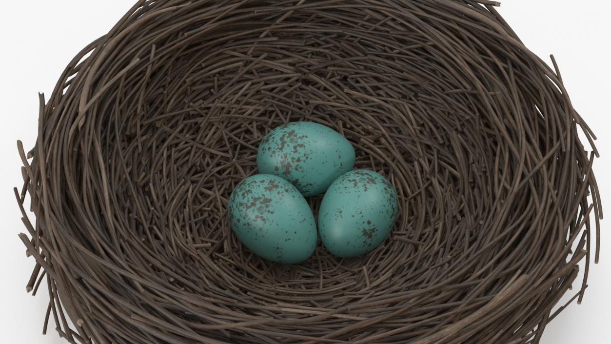 Bird Nest 3D model