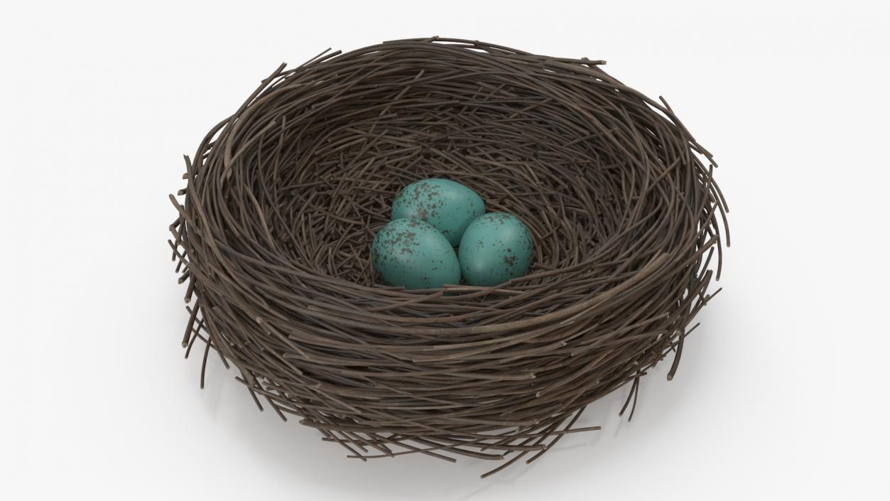 Bird Nest 3D model