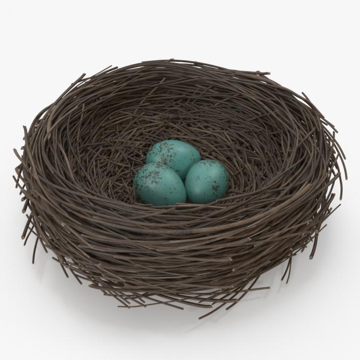 Bird Nest 3D model