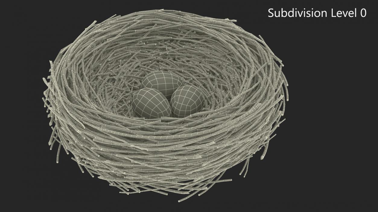 Bird Nest 3D model