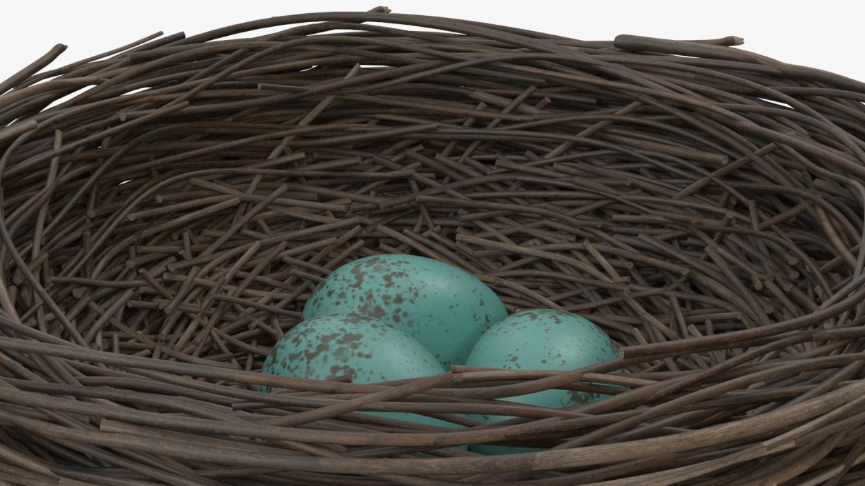 Bird Nest 3D model