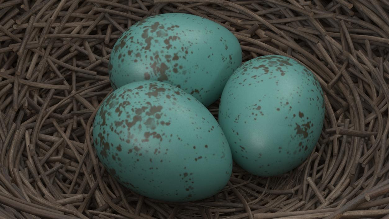 Bird Nest 3D model