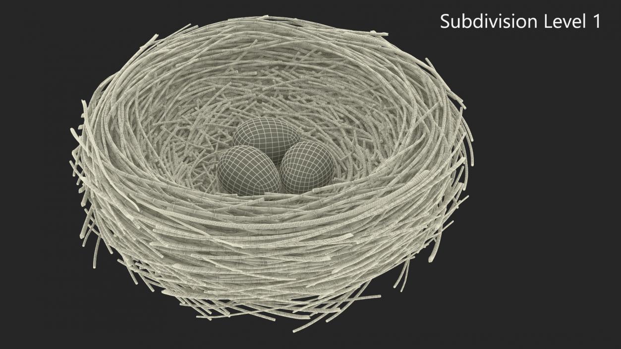 Bird Nest 3D model