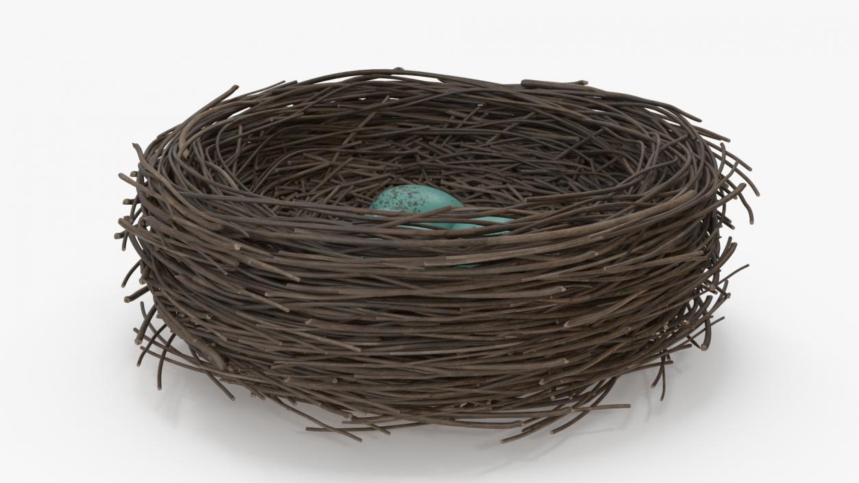 Bird Nest 3D model