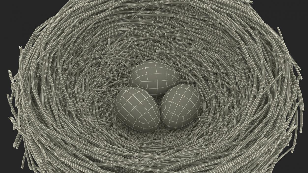 Bird Nest 3D model